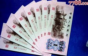 二连肖100元连本赔多少,效能解答解释落实_游戏版121,127.12