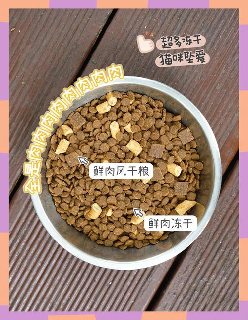 新澳2025最新资料大全论坛和肥猫一年多减重16斤与肥猫一年多减重16斤正常吗