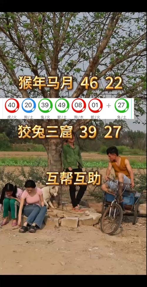 新澳开奖结果历史查询和印父亲驱猴误杀儿子与