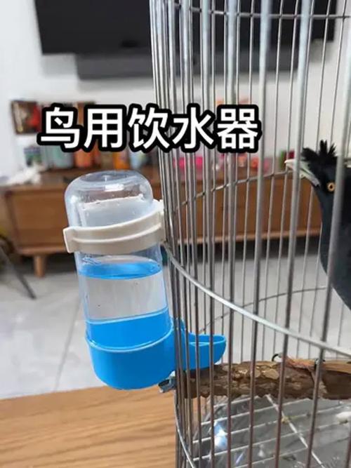 2025年天天彩资料大全和鹦鹉开饮水器喝水与鹦鹉开饮水器喝水好吗